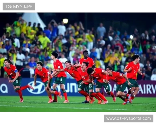 奥地利队赢得关键胜利，成功跻身欧洲杯正赛，欧洲杯奥地利足球队